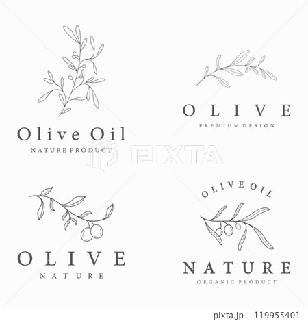 Botanical logo template Hand drawn natural olive leaf and fruit .Herbal, olive oil,cosmetic or beauty. 119955401