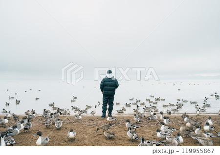man tourist travel Lake Inawashiro in winter, Traveler sightseeing Ducks, Swan and bird in Fukushima Prefecture, Tohoku Region, Japan. Landmark travel and adventure vacation concept man tourist travel Lake Inawashiro in winter, Traveler sightseeing Ducks, Swan and bird in Fukushima Prefecture, Tohoku Region, Japan. Landmark travel and adventure vacation concept 119955867