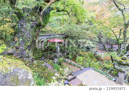 伊香保温泉 河鹿橋 伊香保湯元 不動像 伊香保温泉 河鹿橋 伊香保湯元 不動像 119955971