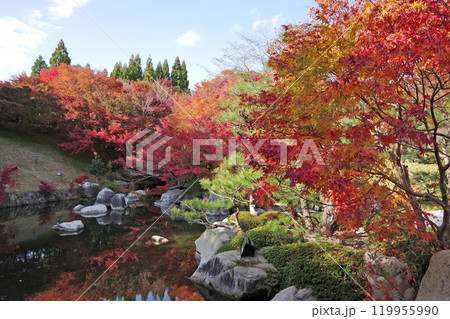 広島・三景園の紅葉 119955990