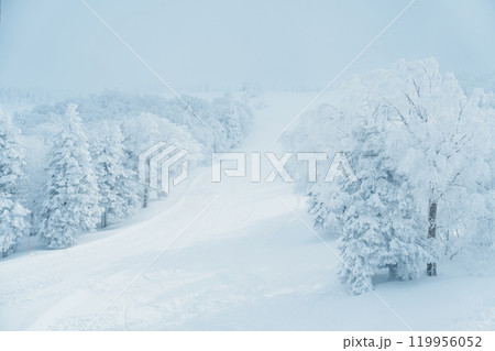 View of Snow monster in Winter day at Mount Zao ski resort, Yamagata prefecture, Japan. powder snow covered in frosty weather. Travel, Adventure and Vacation background 119956052