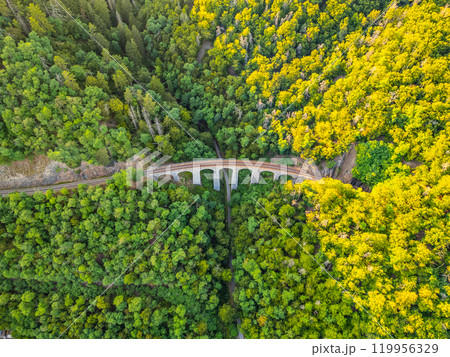 Aerial view of the Zampach stone railway bridge surrounded by lush greenery in Czechia, showcasing the pristine natural landscape and the curve of the railway tracks. 119956329