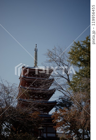 青空にそびえる五重塔 119956455