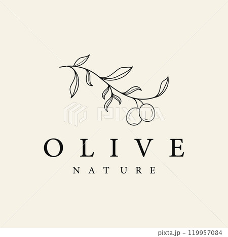 Botanical logo template Hand drawn natural olive leaf and fruit .Herbal, olive oil,cosmetic or beauty. 119957084
