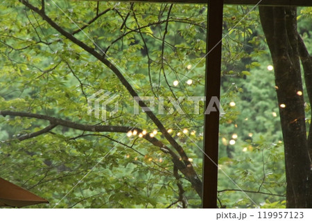 リゾートハワイアンズ一泊旅行 リゾートハワイアンズ一泊旅行 119957123