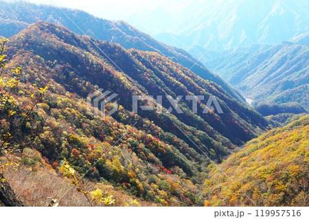 奥日光の秋　中禅寺湖スカイライン半月山駐車場より望む紅葉の風景 119957516