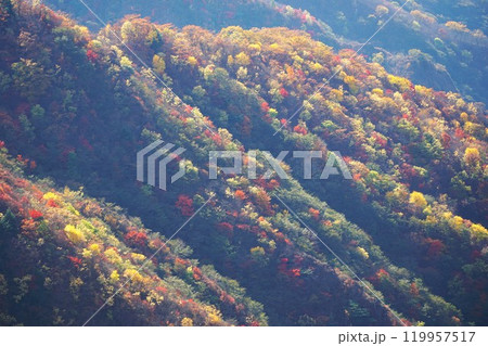 奥日光の秋　中禅寺湖スカイライン半月山駐車場より望む紅葉の風景 119957517