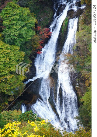 もうすぐ紅葉色 色付きまじか 霧降の滝の風景 もうすぐ紅葉色 色付きまじか 霧降の滝の風景 119957524