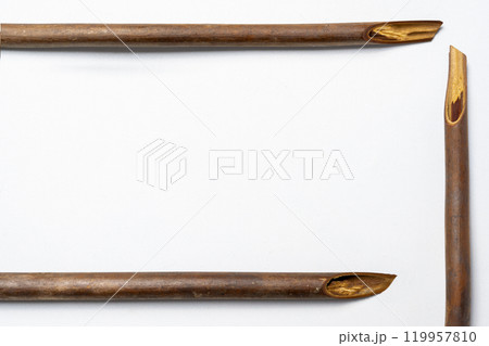 Set of calligraphy reeds isolated over white background 119957810