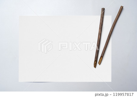 Calligraphy reeds on white paper isolated over white background Calligraphy reeds on white paper isolated over white background 119957817