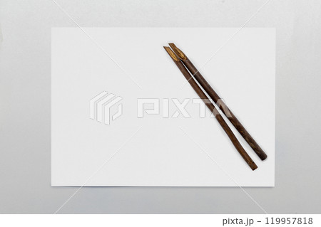 Calligraphy reeds on white paper isolated over white background 119957818
