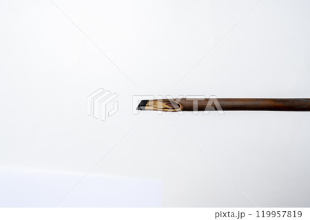 Calligraphy reeds isolated over white background 119957819