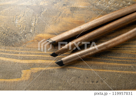 Set of calligraphy reeds covered ink on wooden background Set of calligraphy reeds covered ink on wooden background 119957831