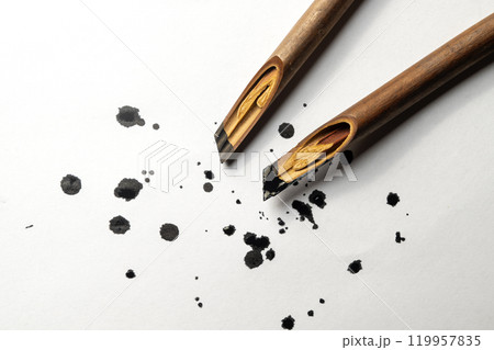 Calligraphy reeds covered ink on white paper Calligraphy reeds covered ink on white paper 119957835