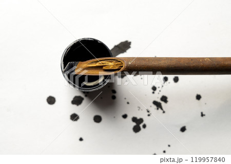Calligraphy reeds covered ink with inkwell on white paper Calligraphy reeds covered ink with inkwell on white paper 119957840