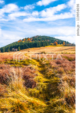 A scenic view of Bukovec Hill in the Jizera Mountains reveals vibrant autumn foliage contrasting with golden grass. The hill is surrounded by lush forest under a clear blue sky. A scenic view of Bukovec Hill in the Jizera Mountains reveals vibrant autumn foliage contrasting with golden grass. The hill is surrounded by lush forest under a clear blue sky. 119958036