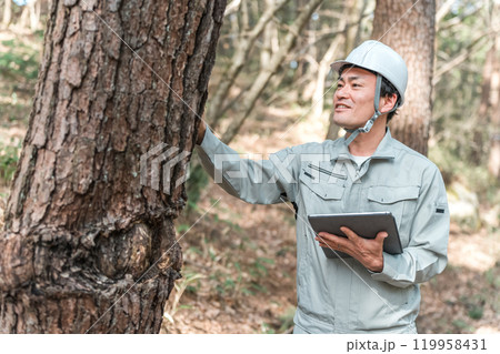公園・森林で樹木をチェックする作業着姿の林業の男性 119958431
