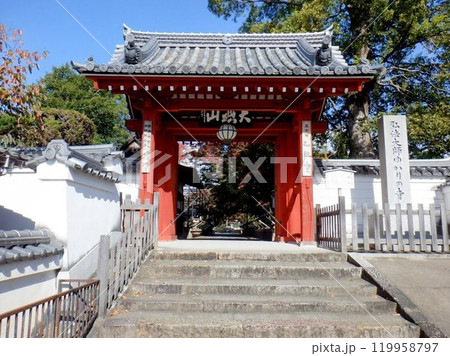 長岡京市にある乙訓寺の山門 119958797
