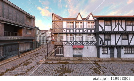 石畳のある街かど 119958802