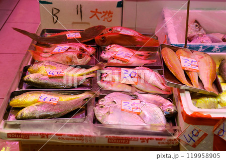 香港島北角の市場で売られる黄魚とよばれるイシモチ。日本ではなじみのない魚も多い 119958905
