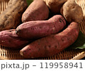 サツマイモ 119958941
