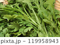 菊菜 119958943