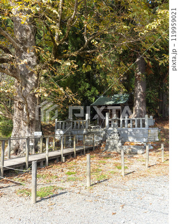 美山かやぶきの里に祀られる北稲荷神社の秋景色 美山かやぶきの里に祀られる北稲荷神社の秋景色 119959021
