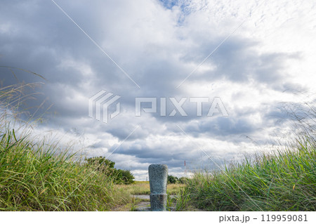 淀川河川公園風景　枚方市出口地区 119959081