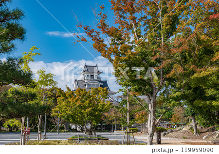 長浜市豊公園　長浜城歴史博物館　滋賀県長浜市 119959090