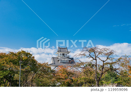長浜市豊公園　長浜城歴史博物館　滋賀県長浜市 119959096