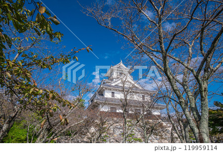 長浜市豊公園　天守閣風建造物　長浜城歴史博物館　滋賀県長浜市 119959114