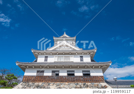 長浜市豊公園　天守閣風建造物　長浜城歴史博物館　滋賀県長浜市 119959117