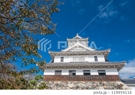 長浜市豊公園　天守閣風建造物　長浜城歴史博物館　滋賀県長浜市 119959118