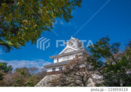 長浜市豊公園　天守閣風建造物　長浜城歴史博物館　滋賀県長浜市 119959119