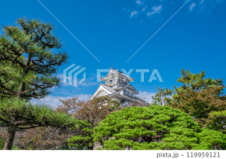 長浜市豊公園 天守閣風建造物 長浜城歴史博物館 滋賀県長浜市 長浜市豊公園 天守閣風建造物 長浜城歴史博物館 滋賀県長浜市 119959121