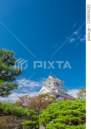長浜市豊公園　天守閣風建造物　長浜城歴史博物館　滋賀県長浜市 119959122