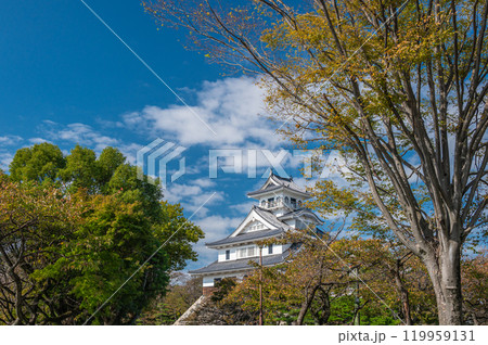 長浜市豊公園 天守閣風建造物 長浜城歴史博物館 滋賀県長浜市 長浜市豊公園 天守閣風建造物 長浜城歴史博物館 滋賀県長浜市 119959131