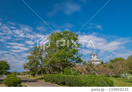 豊公園 長浜城の城跡公園 滋賀県長浜市 豊公園 長浜城の城跡公園 滋賀県長浜市 119959135