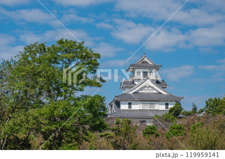長浜市豊公園 長浜城歴史博物館 天守閣風建造物 滋賀県長浜市 長浜市豊公園 長浜城歴史博物館 天守閣風建造物 滋賀県長浜市 119959141
