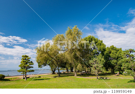 琵琶湖畔の公園　豊公園　長浜城の城跡公園　滋賀県長浜市 119959149