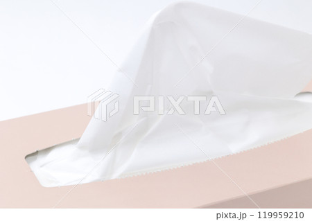 ティッシュ, 箱ティッシュ, ちりかみ, 生活, 生活用品, ティッシュペーパー, 日用品, 日常品 119959210