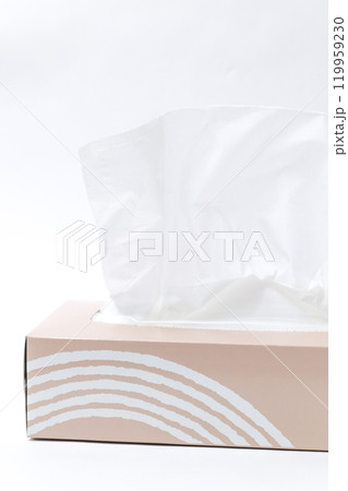 ティッシュ, 箱ティッシュ, ちりかみ, 生活, 生活用品, ティッシュペーパー, 日用品, 日常品 119959230