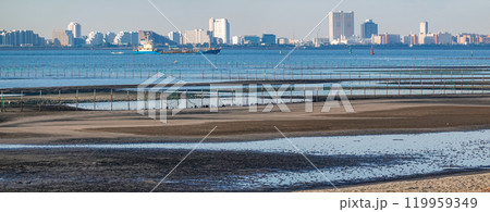 秋の朝 ふなばし三番瀬海浜公園の干潟(千葉県船橋市) 秋の朝 ふなばし三番瀬海浜公園の干潟(千葉県船橋市) 119959349