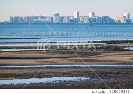 秋の朝 ふなばし三番瀬海浜公園の干潟(千葉県船橋市) 秋の朝 ふなばし三番瀬海浜公園の干潟(千葉県船橋市) 119959351