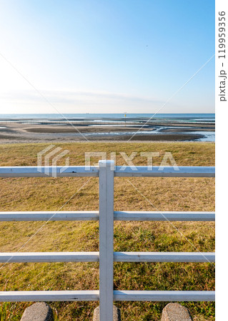 秋の朝 ふなばし三番瀬海浜公園の干潟(千葉県船橋市) 秋の朝 ふなばし三番瀬海浜公園の干潟(千葉県船橋市) 119959356