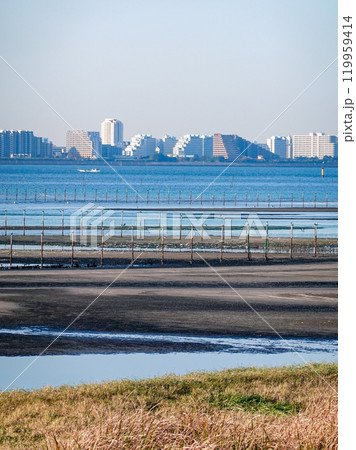 秋の朝 ふなばし三番瀬海浜公園の干潟(千葉県船橋市) 秋の朝 ふなばし三番瀬海浜公園の干潟(千葉県船橋市) 119959414