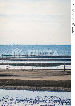 秋の朝 ふなばし三番瀬海浜公園の干潟(千葉県船橋市) 秋の朝 ふなばし三番瀬海浜公園の干潟(千葉県船橋市) 119959417