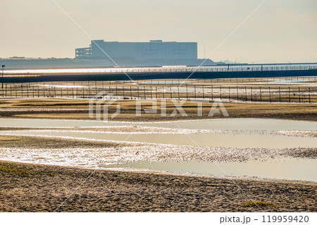 秋の朝　ふなばし三番瀬海浜公園の干潟（千葉県船橋市） 119959420
