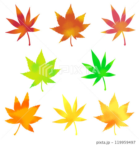 カラフルな秋の紅葉のセットイラスト素材 カラフルな秋の紅葉のセットイラスト素材 119959497