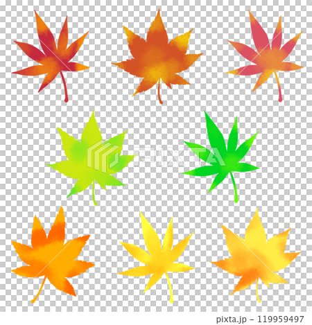 カラフルな秋の紅葉のセットイラスト素材 カラフルな秋の紅葉のセットイラスト素材 119959497